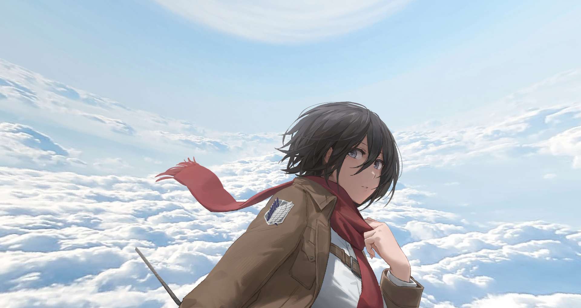 Gallery Image 5 for Mikasa Ackerman on vVPRP