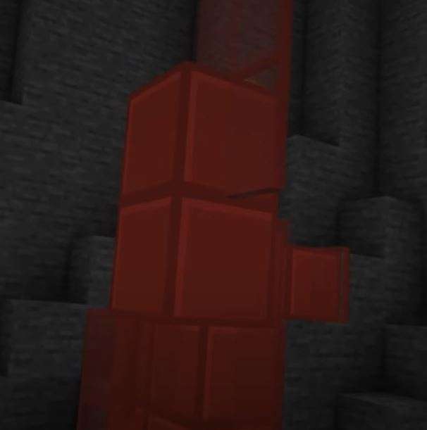 Gallery Image 1 for Cookie