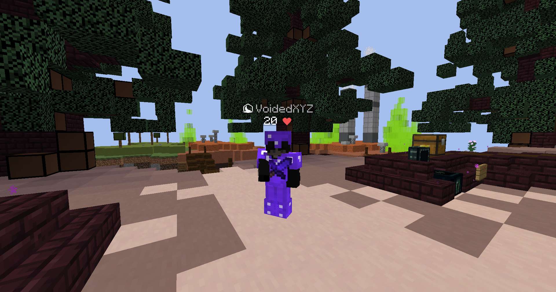 Gallery Banner for VoidFault on PvPRP