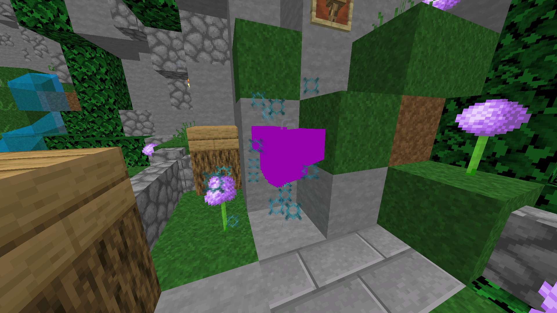 Gallery Image 5 for JordanWTF on vVPRP
