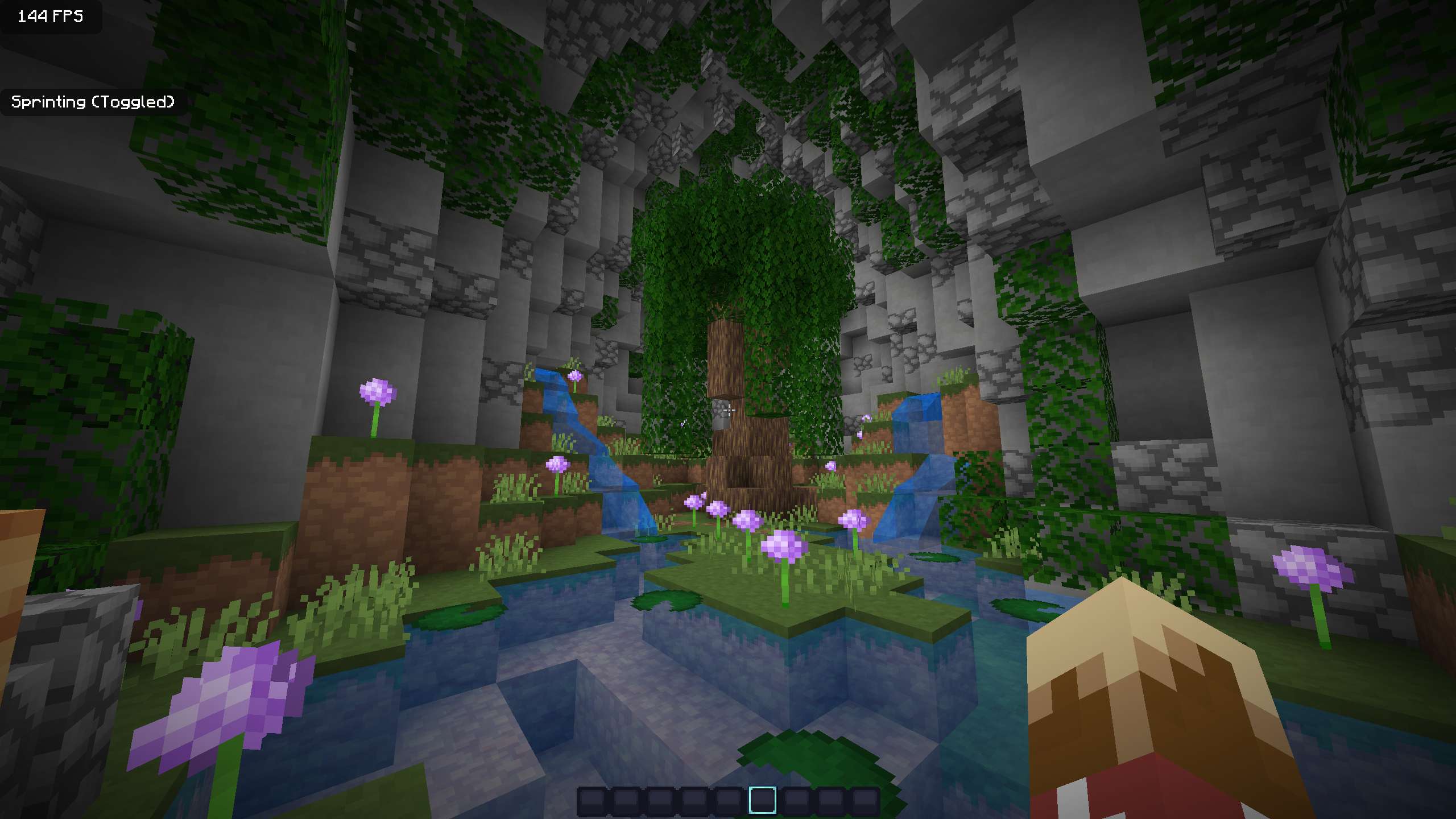 Gallery Image 6 for Pristine  1.8.9 on vVPRP