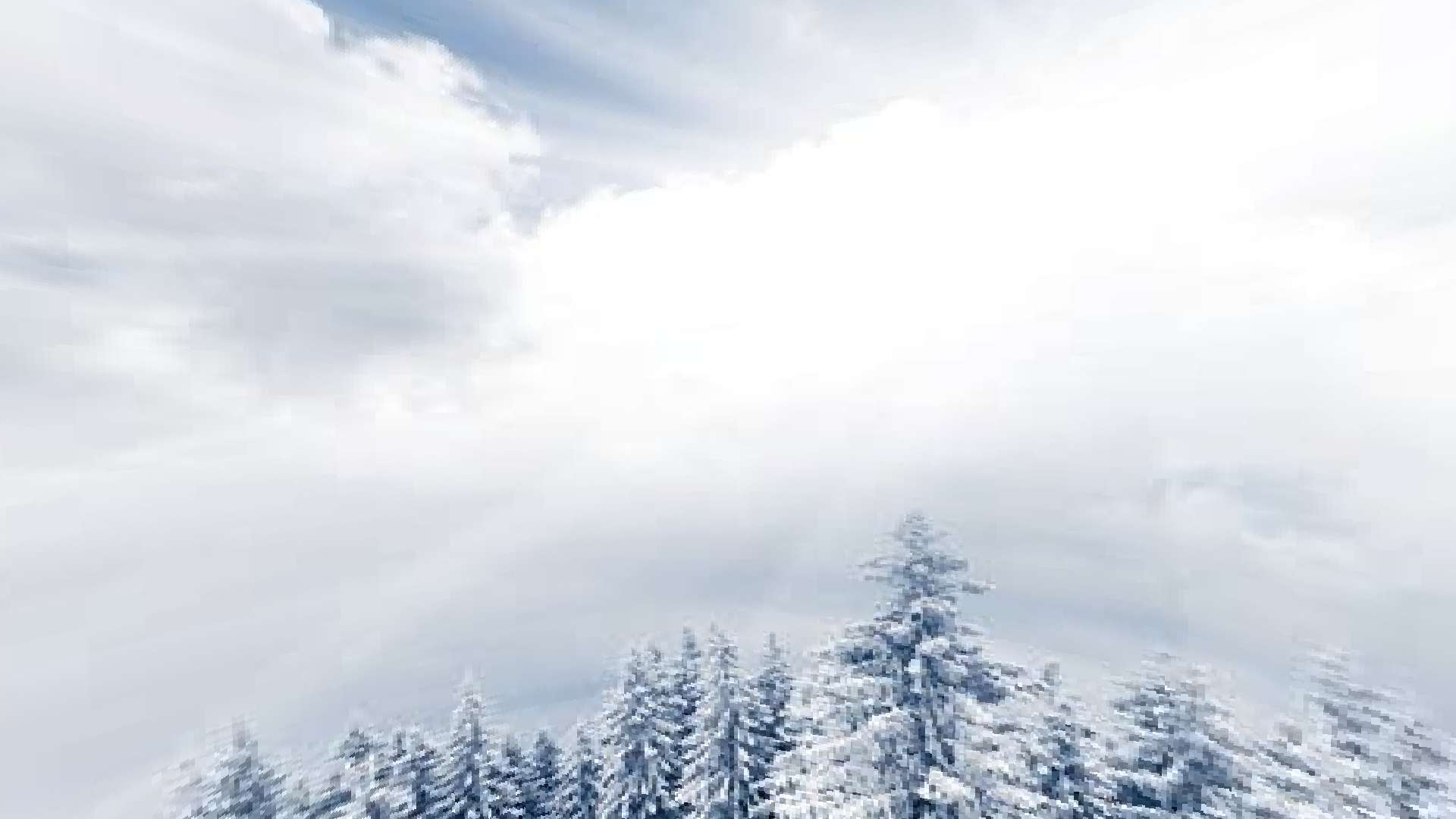 Gallery Image 5 for Festive REVAMP on vVPRP