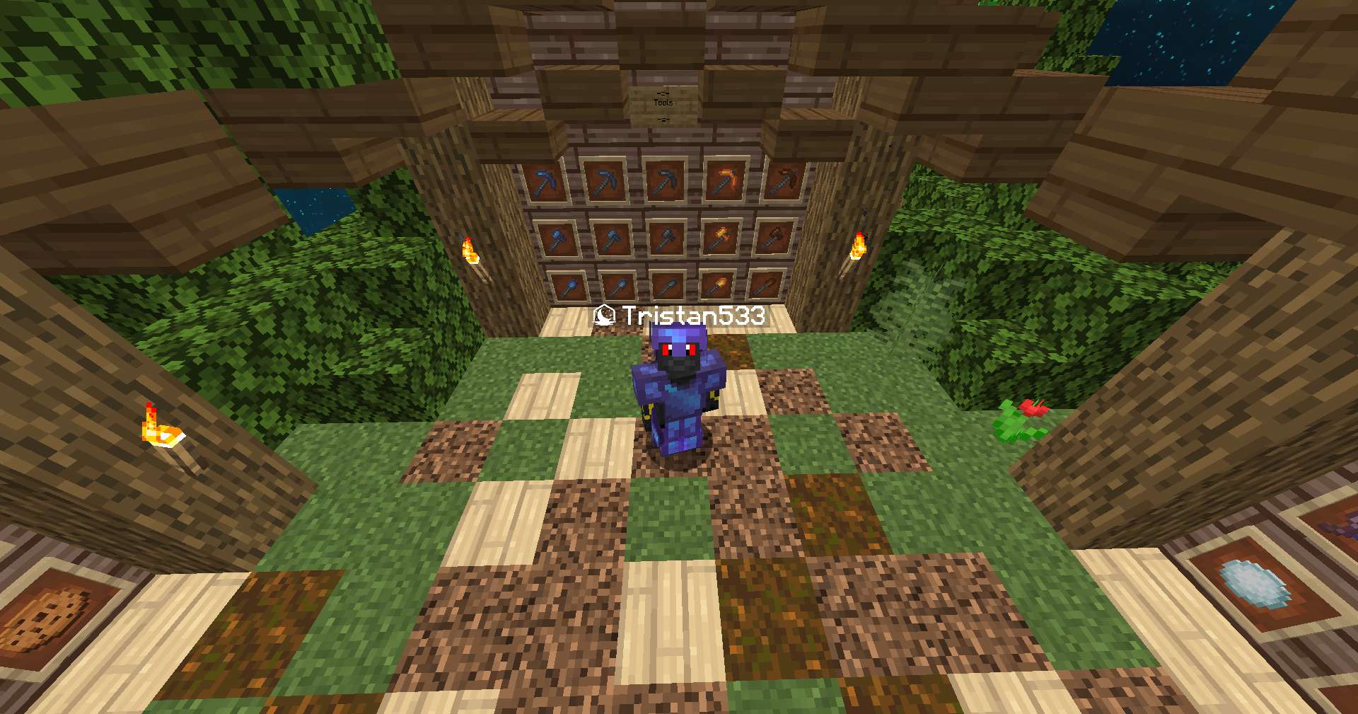 Gallery Banner for Biru on PvPRP
