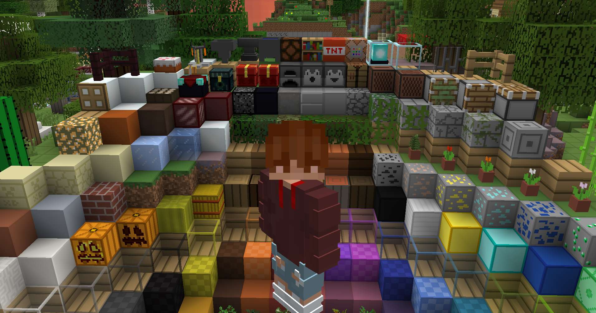 Gallery Image 2 for PolloPack 5K on vVPRP